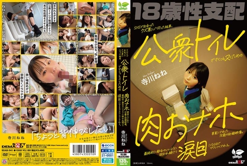 [中字馬賽克破解] 與在社交網站認識的渣男墜入情網，成為用來在公共廁所輕鬆解決需求的18歲肉體勞工的記錄影片。最終被一直利用直到眼淚汪汪為止，寺川寧寧。